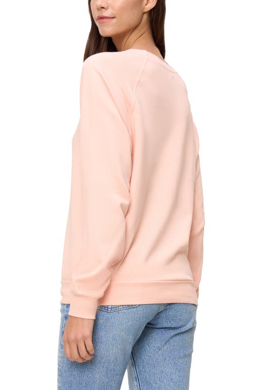 Shop The Standard Stitch The Raglan Sweatshirt In Peach