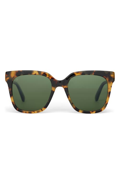 Toms Natasha 53mm Polarized Square Sunglasses In Green