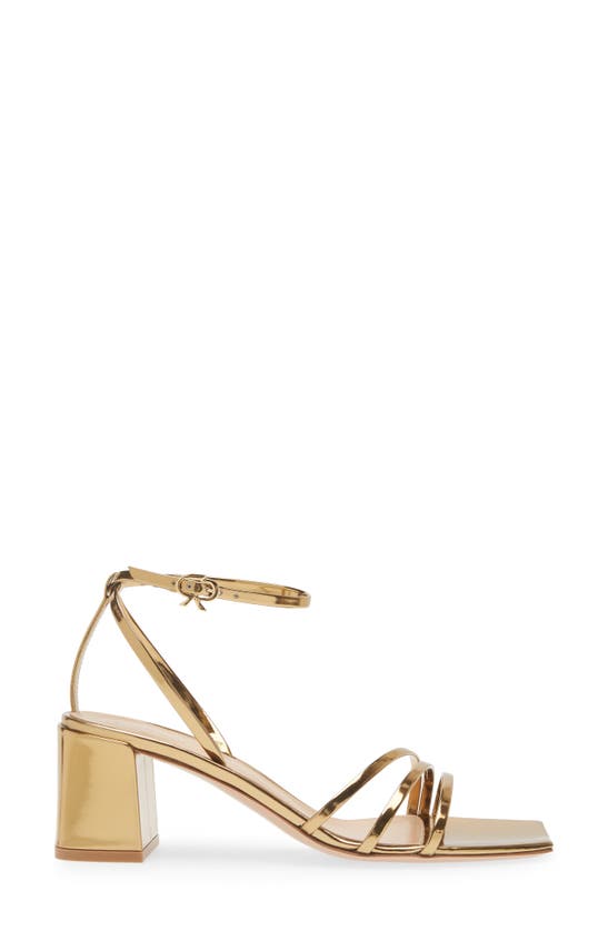 Shop Gianvito Rossi Brielle Ankle Strap Sandal In Mekong