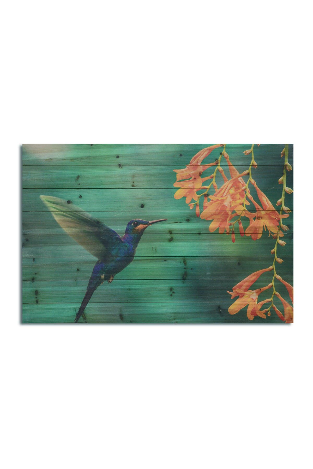 Gallery 57 Hummingbird Wooden Wall Art In Turquoise