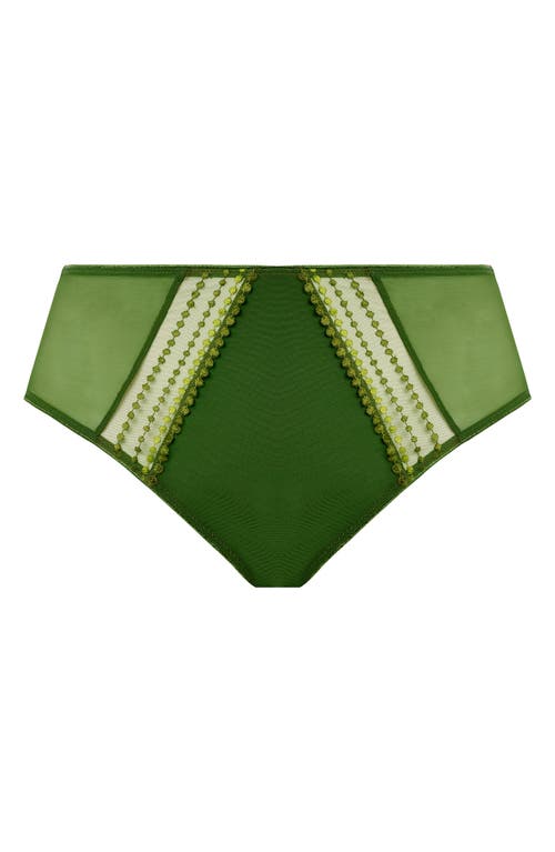 Shop Elomi Matilda Full Figure Embellished Briefs In Jungle (jue)