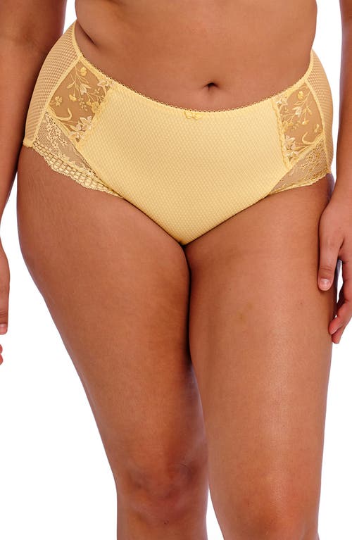 Elomi Charley Full Figure Briefs at Nordstrom,