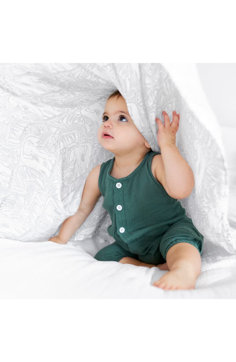 aden + anais 3Pack Silky Soft Swaddling Cloths Nordstrom