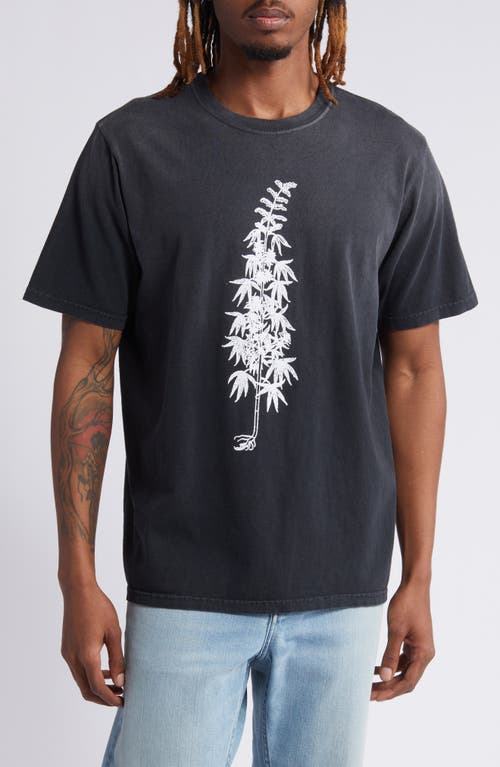 More Peace More Freedom Cotton Graphic T-Shirt in Washed Black