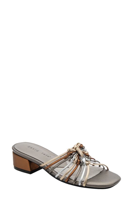 Shop David Tate Excellent Strappy Slide Sandal In Metallic Multi