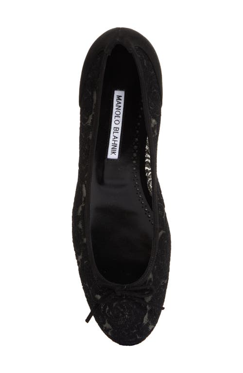 Shop Manolo Blahnik Verizzo Lace Ballet Flat In Black