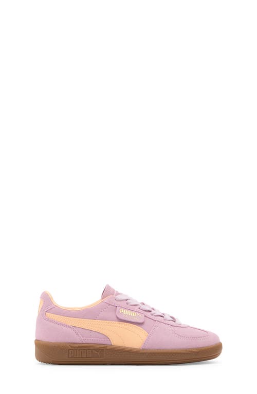 Shop Puma Kids' Palermo Sneaker In Grape Mist-peach Fizz