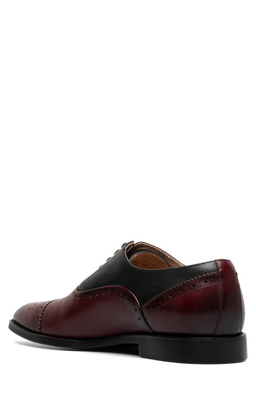 Stacy Adams Reynolds Cap Toe Oxford In Burgundy Multi