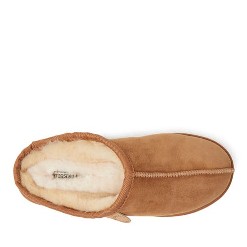 Dearfoams Fireside By Dearfoam Men's Hobart Genuine Shearling Closed Back Slippers In Chestnut