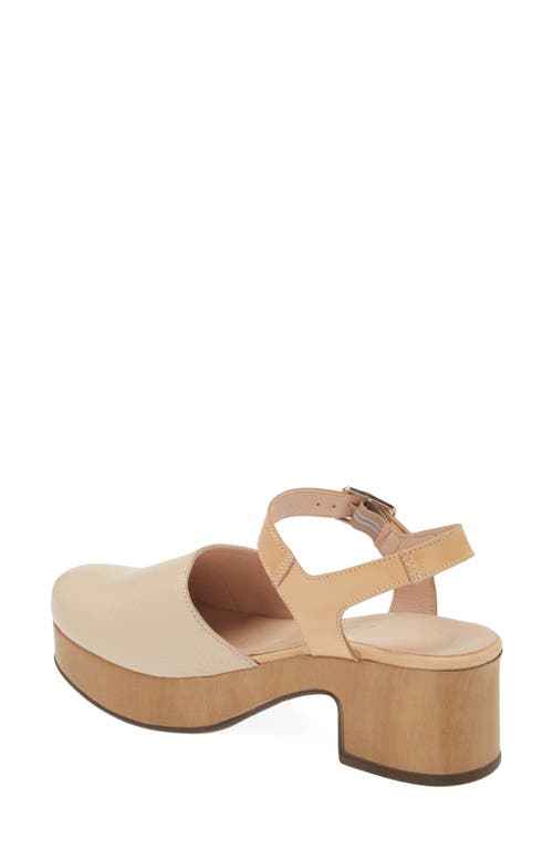 Shop Wonders Platform Clog In Wild Natural/pergamena Sand