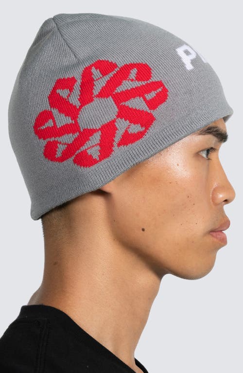 Shop Pleasures Service Skully Beanie In Grey