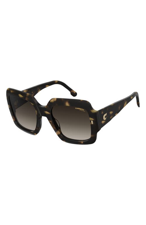 Carrera Eyewear 54mm Gradient Rectangular Sunglasses In Havana/brown Gradient