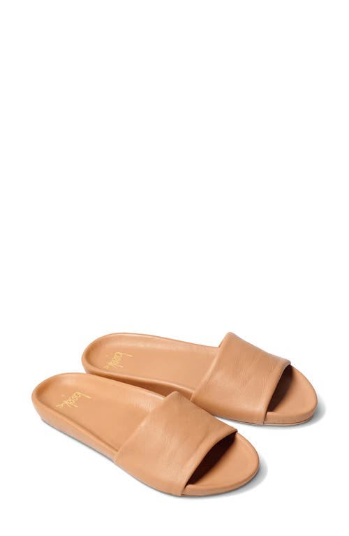 Beek Gallito Slide Sandal In Honey/honey