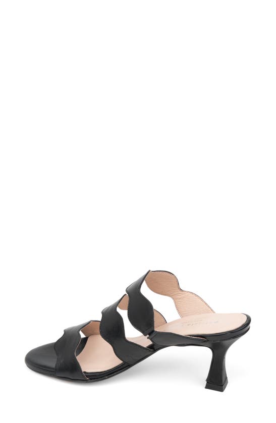 Patricia Green Sophia Slide Sandal In Black