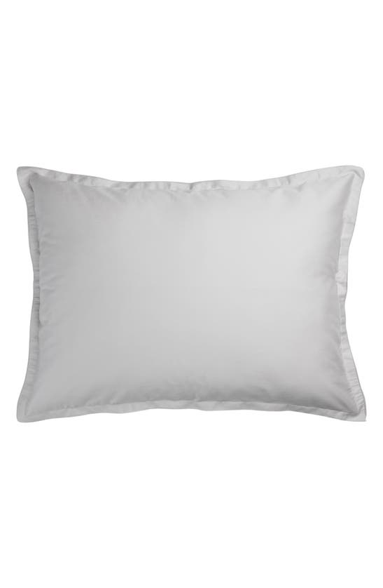 Parachute Set Of 2 Sateen Shams In Light Grey