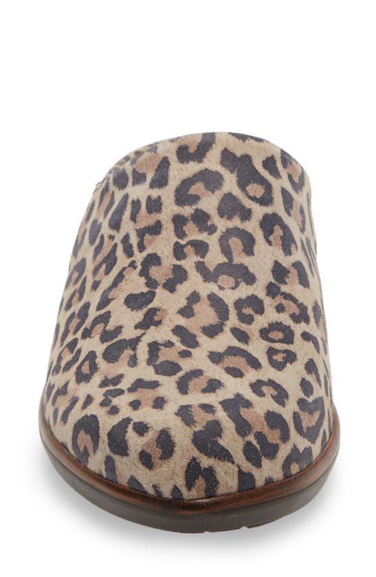 Naot Lodos Mule In Cheetah Suede