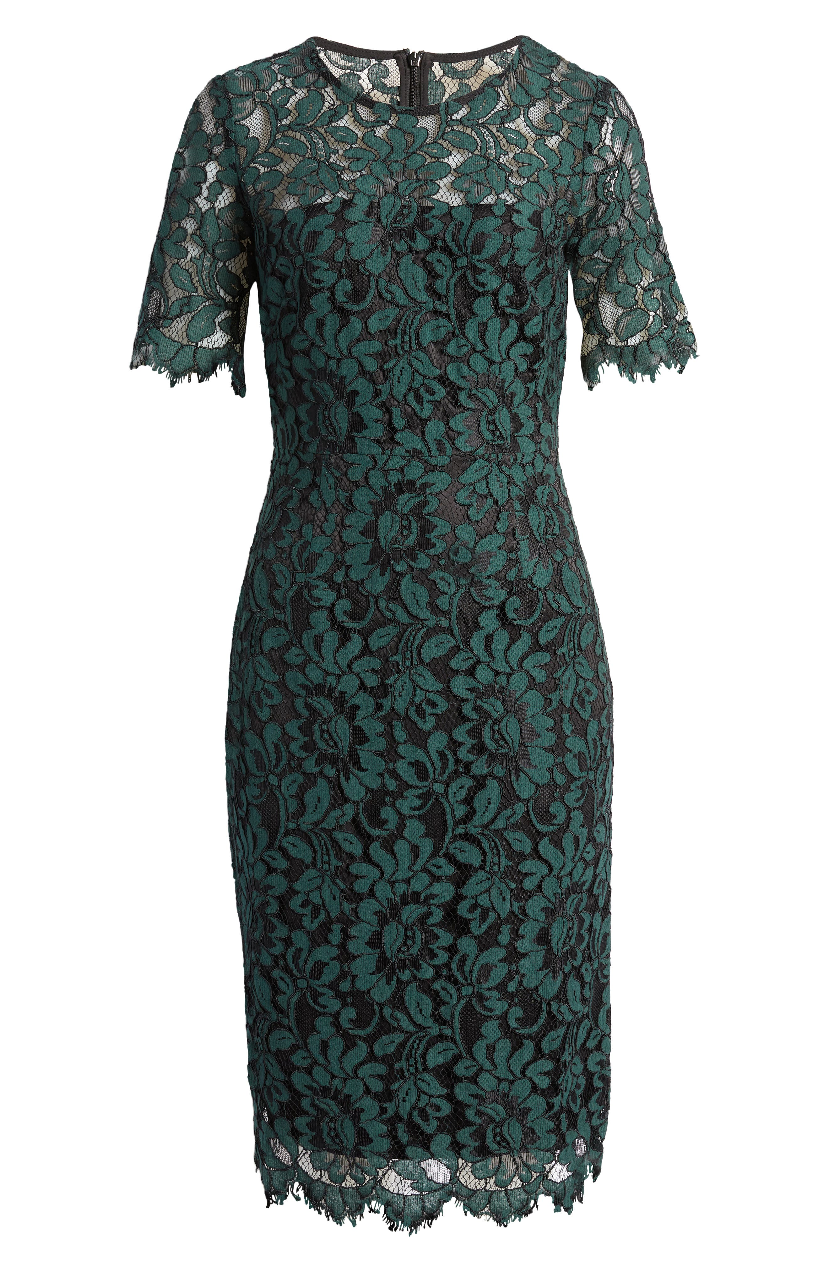 Eliza J Women's Short Sleeve Lace Sheath Dress | Smart Closet