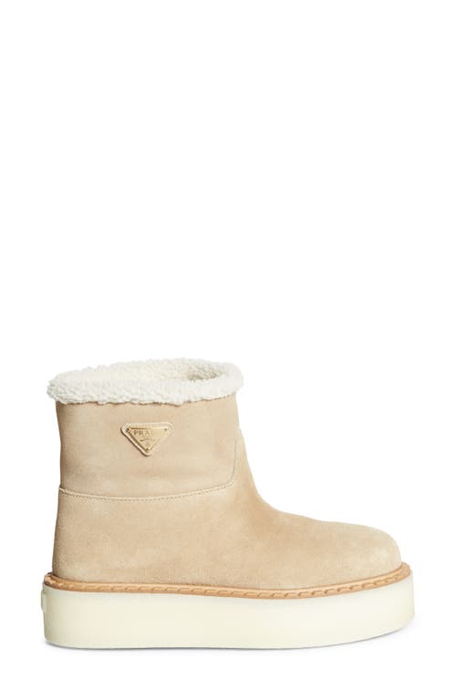 Prada Evolve Genuine Shearling Bootie In Ecru