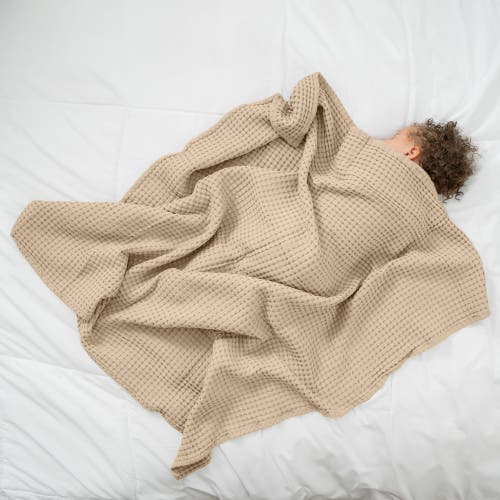 Comfy Cubs Baby Waffle Blankets In Sand