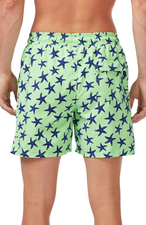 Shop Tom & Teddy Starfish Print Swim Trunks In Fresh Green/blue