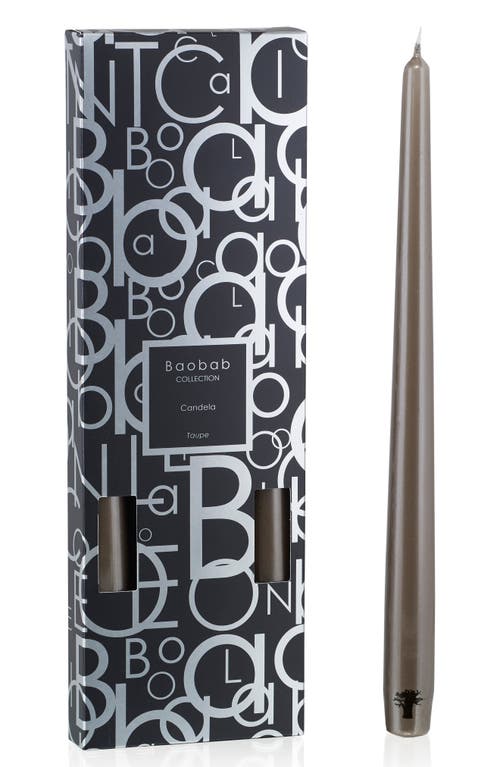 Baobab Collection Candela 4-Pack Candlestick in Taupe at Nordstrom