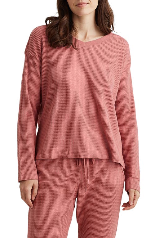 Papinelle Waffle Knit Pajama Top Soft Cinnamon at Nordstrom,