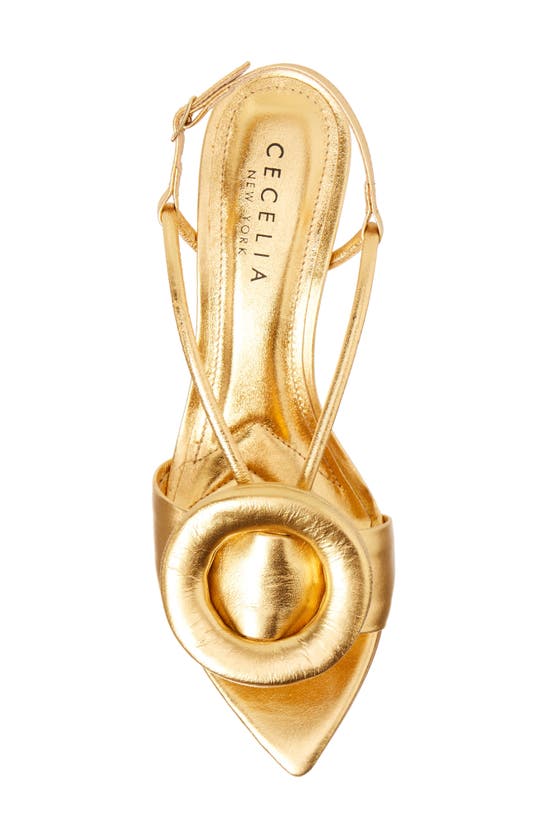 Shop Cecelia New York Myra Pointed Toe Slingback Sandal In Gold Shiney