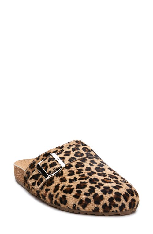 Coconuts by Matisse Strappy Sandal in Leopard