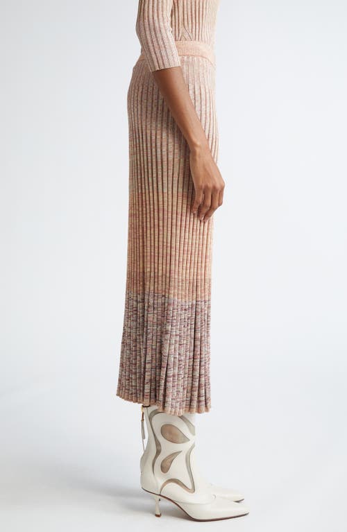 Zimmermann Story 1 Mouline Midi Skirt Pink Multi In Pink Multi