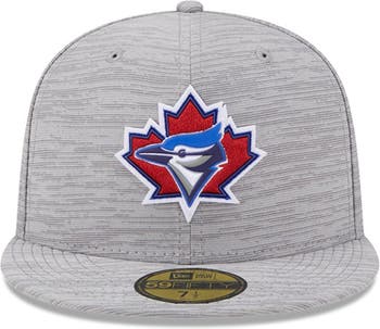 Youth MLB Toronto Blue Jays New Era 2023 Primary Clubhouse 9FORTY