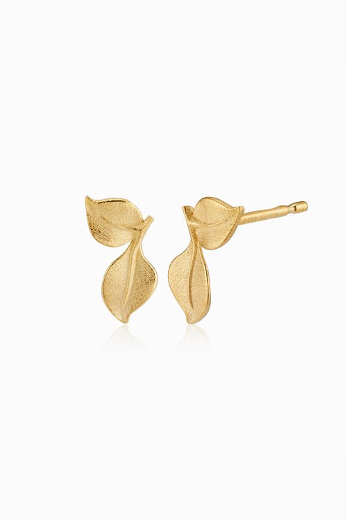 Oradina 14k Yellow Gold New Beginnings Stud Earrings In Yellow Gold