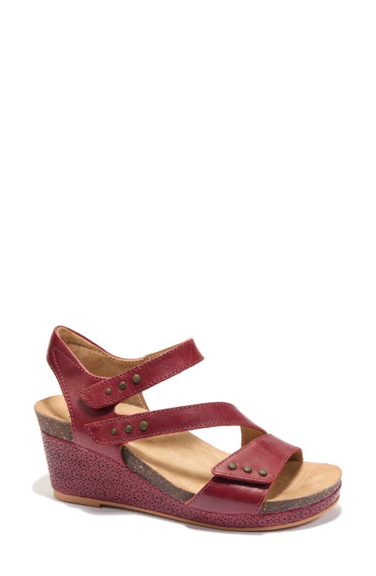 Shop Halsa Footwear Gisella Wedge Sandal In Dark Red