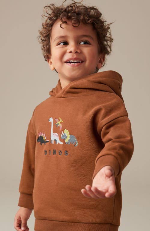 Shop Next Kids' Dinosaur Embroidered Graphic Hoodie In Brown