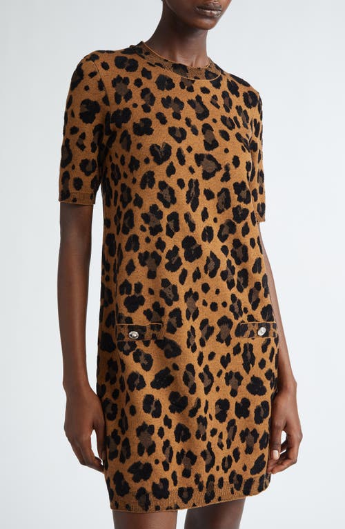 Shop Versace Leopard Jacquard Sweater Dress In Chestnut