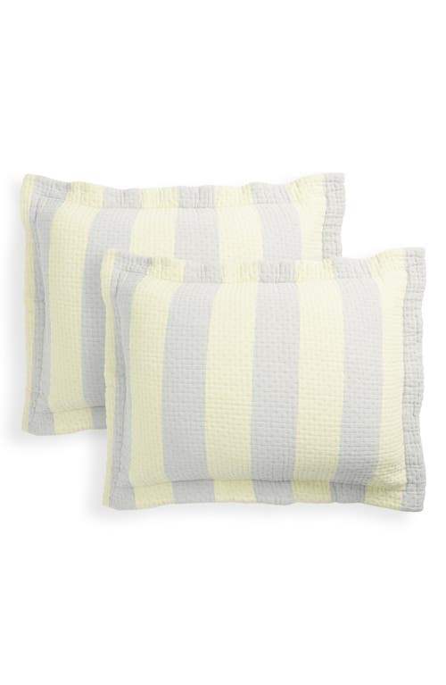 Dusen Dusen Set Of 2 Cool Stripe Cotton Matelassé Shams In Yellow/gray Stripe Shams