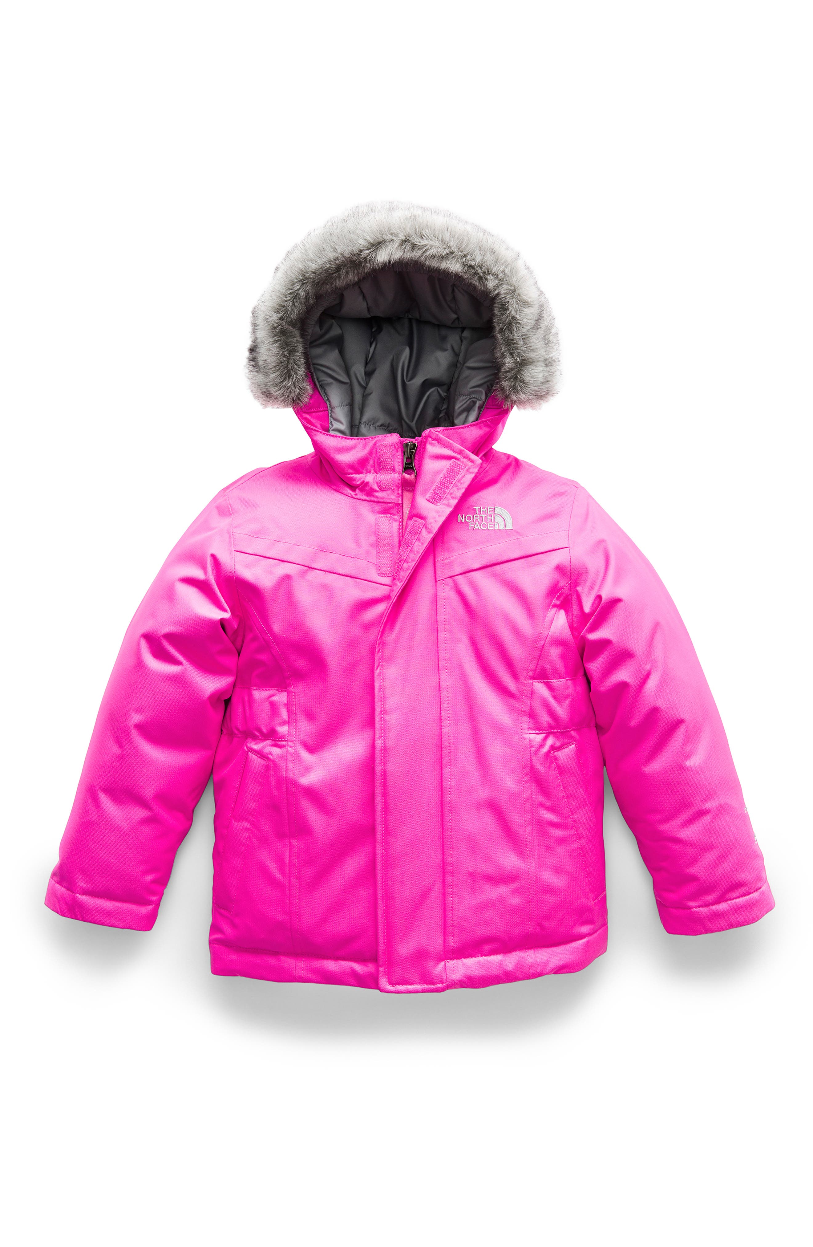 the north face greenland