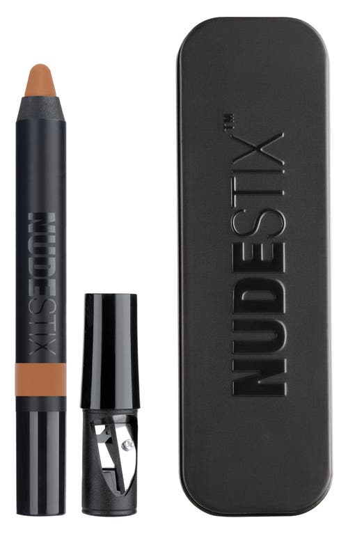 NUDESTIX Magnetic Matte Eye Color in Terra at Nordstrom