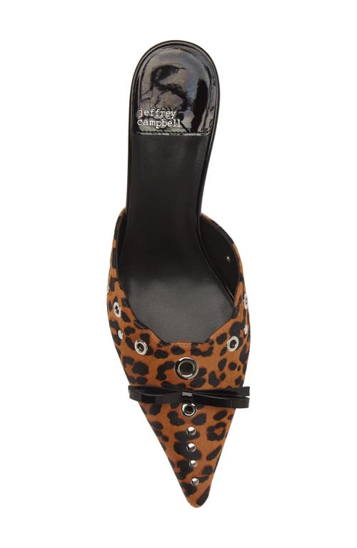 Shop Jeffrey Campbell Gratis Genuine Calf Hair Pointed Toe Mule In Black Cheetah Calf Hair Print