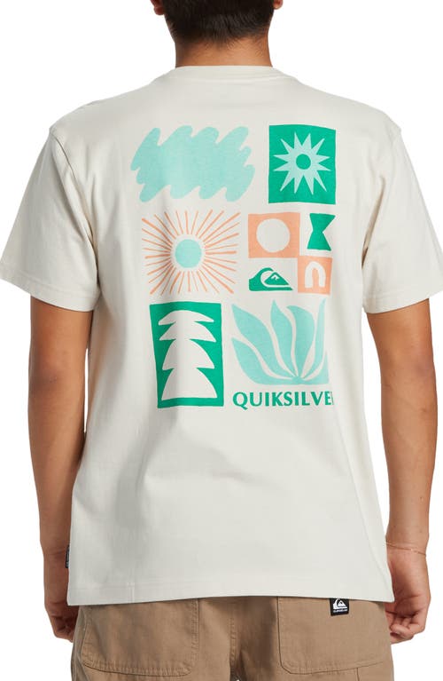 Shop Quiksilver Natural Forms Organic Cotton Graphic T-shirt In Silver Birch