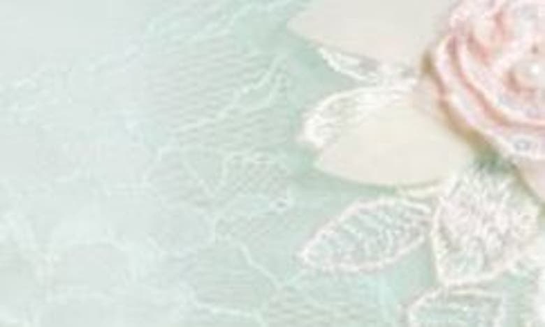 Shop Kilo Brava Floral Appliqué Long Sleeve Lace Teddy In Soft Mint