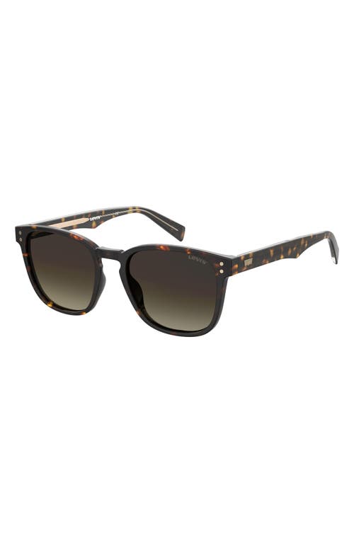 levi's 51mm Gradient Rectangle Sunglasses in Havana/Brown Shaded