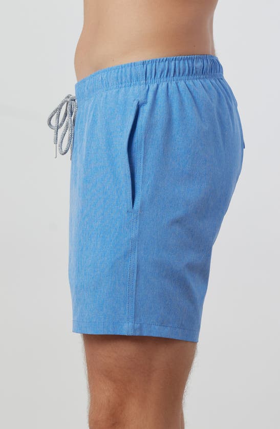 Rainforest Not Your Average Solid Swim Trunks In Ultra Marine