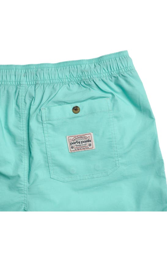 Party Pants Solid Vintage Volley Swim Shorts In Mint Green