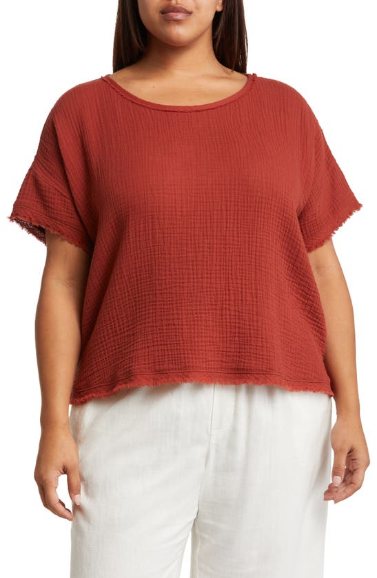 Eileen Fisher Boxy Ballet Neck Organic Cotton Top In Picante