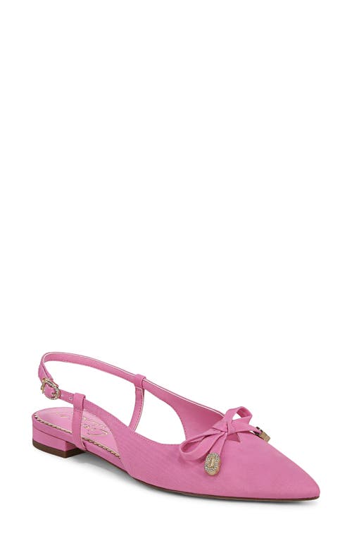 Shop Circus Ny By Sam Edelman Lafayette Pointed Toe Slingback Sandal In Pink Confetti