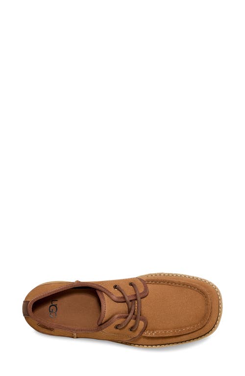 Shop Ugg(r) Cityfunc Water Resistant Platform Derby In Chestnut