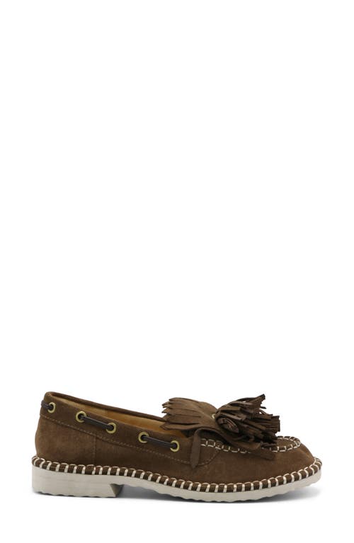 Charles David Poppy Kiltie Fringe Loafer In Dark Tan