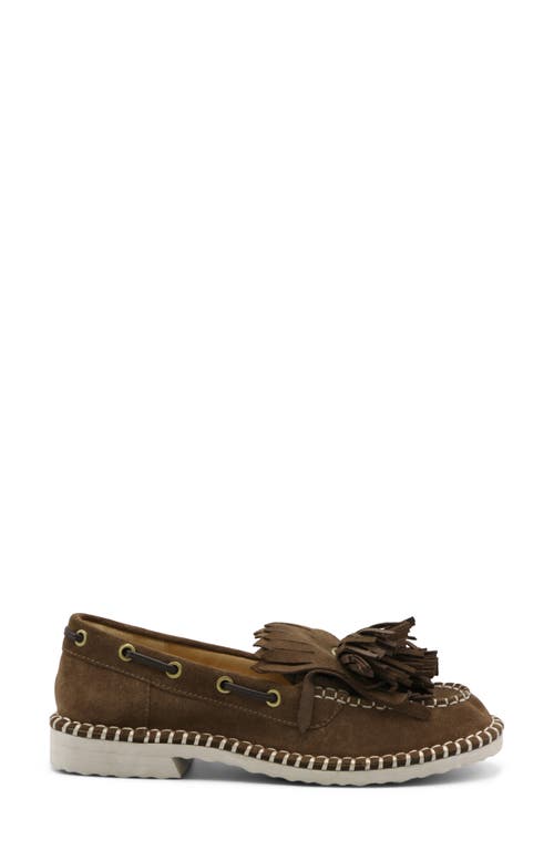 Shop Charles David Poppy Kiltie Fringe Loafer In Dark Tan