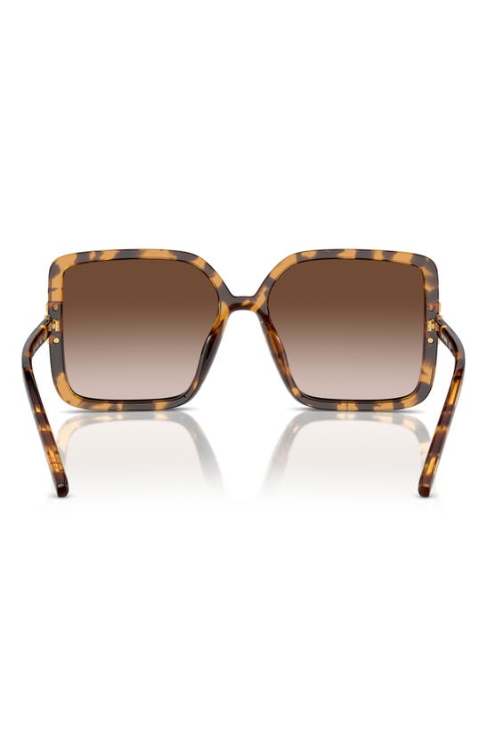 Tory Burch 57mm Gradient Square Sunglasses In Tortoise