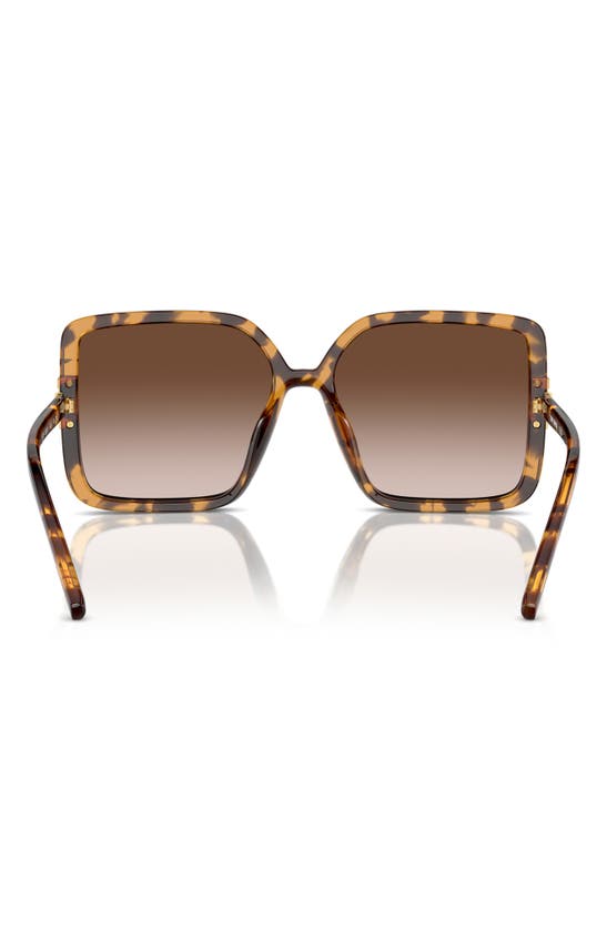 Shop Tory Burch 57mm Gradient Square Sunglasses In Tortoise